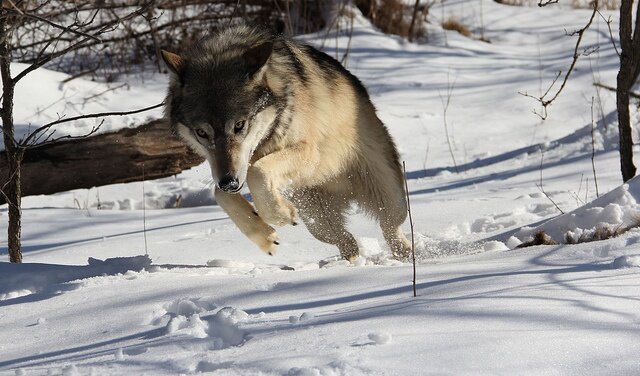 фото использовано в качестве иллюстрации. Источник: Яндекс Картинки