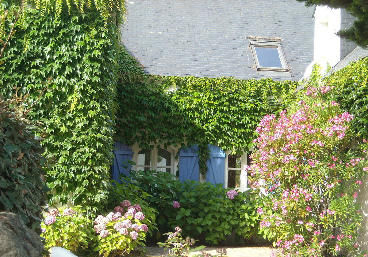 Вот так выглядит домик во Франции, увитый плющом