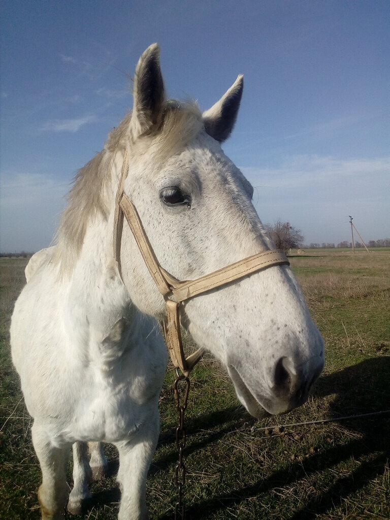 Фото автора. Аврора