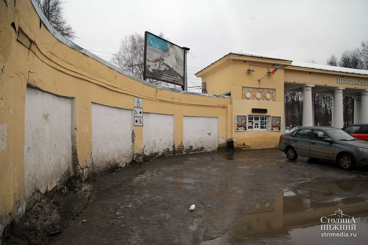 Фото: Андрей Абрамов