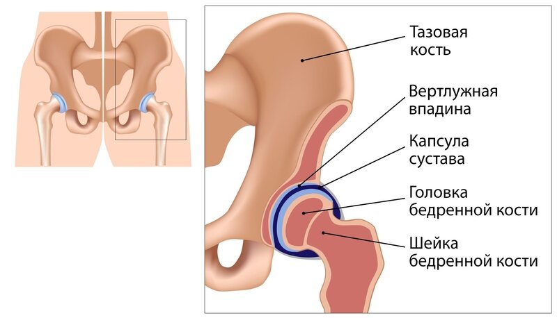 Улучшаем подвижность тазобедренного сустава тремя простыми упражнениями.