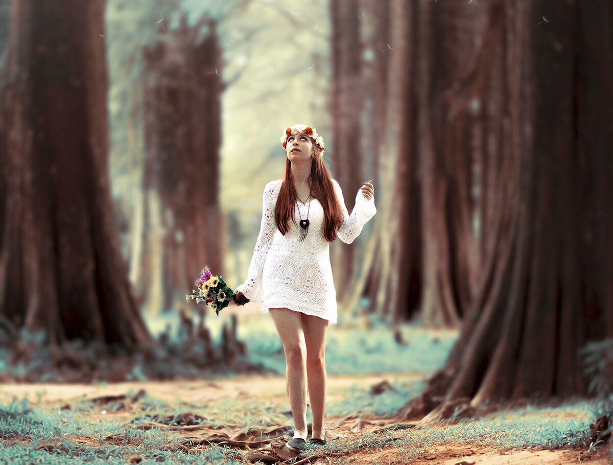 Заблудилась