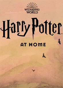 Гарри Поттер