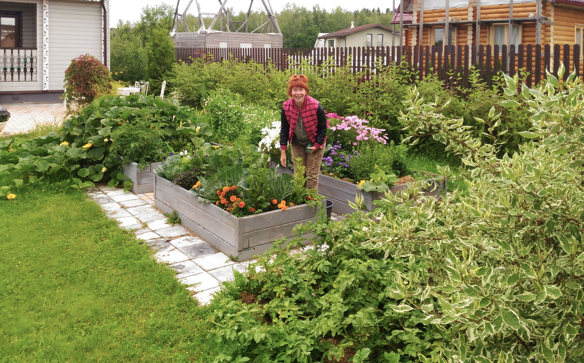 Особенно эффектно высокие грядки смотрятся при комбинированных посадках. "Французский огород" - овощи и цветы в плотном содружестве. Нижний уровень высоких грядок на фото - оцинкованный металл, выше - доски.  (Фото из личного архива)