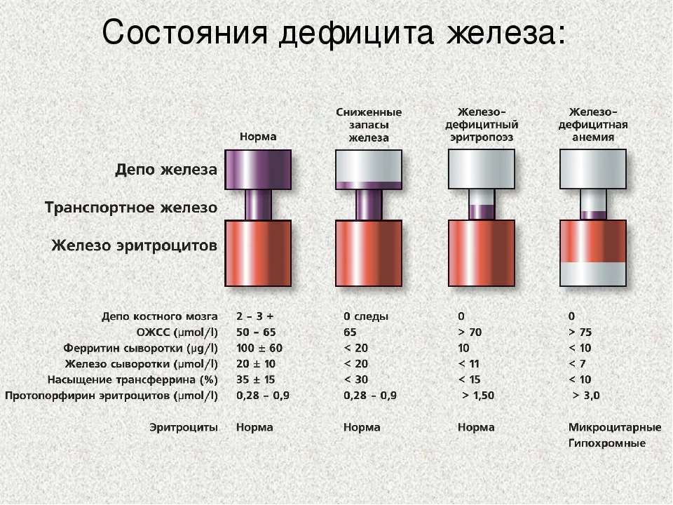 Почему низкое железо в крови. Показатели гемоглобин, ферритин сывороточное железо. Железо крови при железодефицитной анемии. Признаки дефицита железа. Гемоглобин ферритин железо показатели нормы.