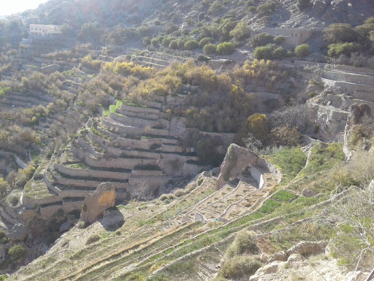 В Омане можно разгуляться даже в карантин: места хватит! 
