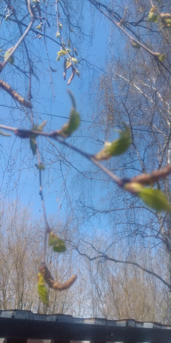 из личных фотографий