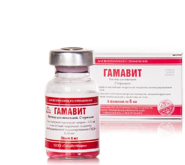 Гамавит для кошек лекарство. Гамавит 6мл витамин. Гамаветфарм гамавит 10мл. Гамавит для животных 10мл. 100 мл.