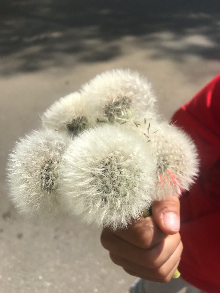 По обычным бытовым делам всё как обычно.