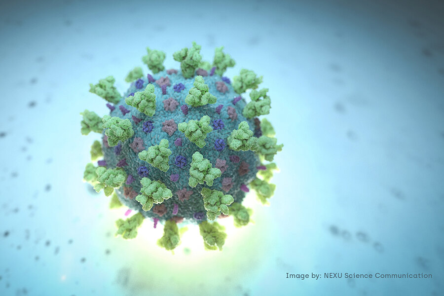 Фото Covid-19 под микроскопом