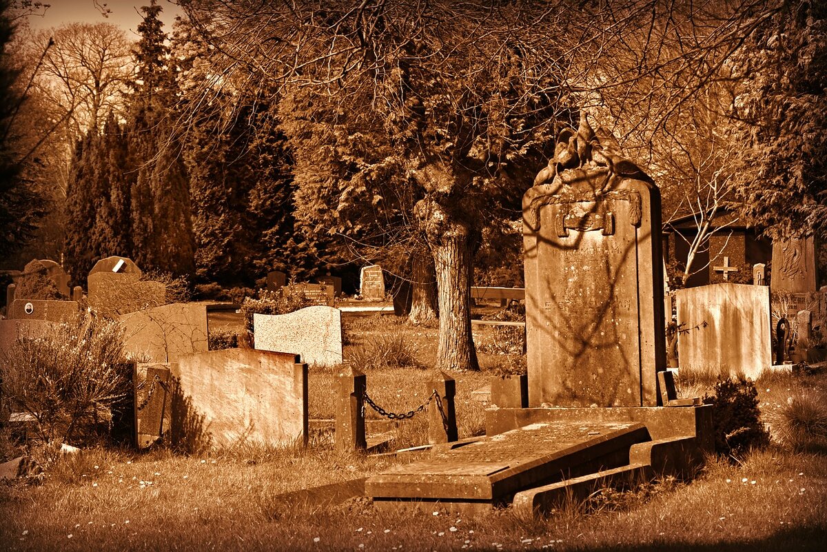 Про старое кладбище. Природа кладбище. Кладбище картинки. Кладбище в деревне.