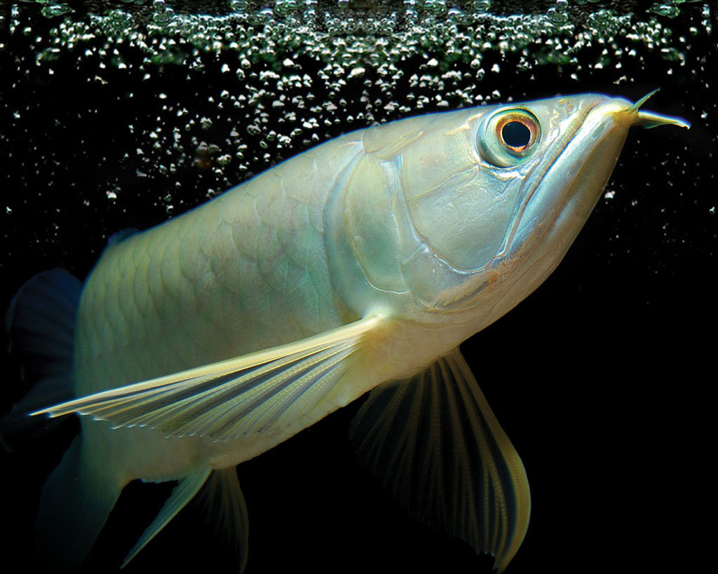 Фото из открытого источника