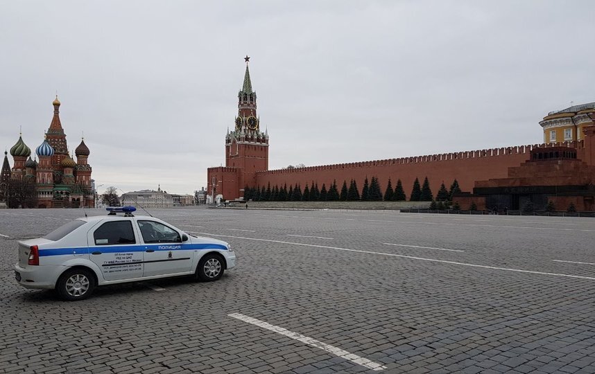 фото из открытого источника