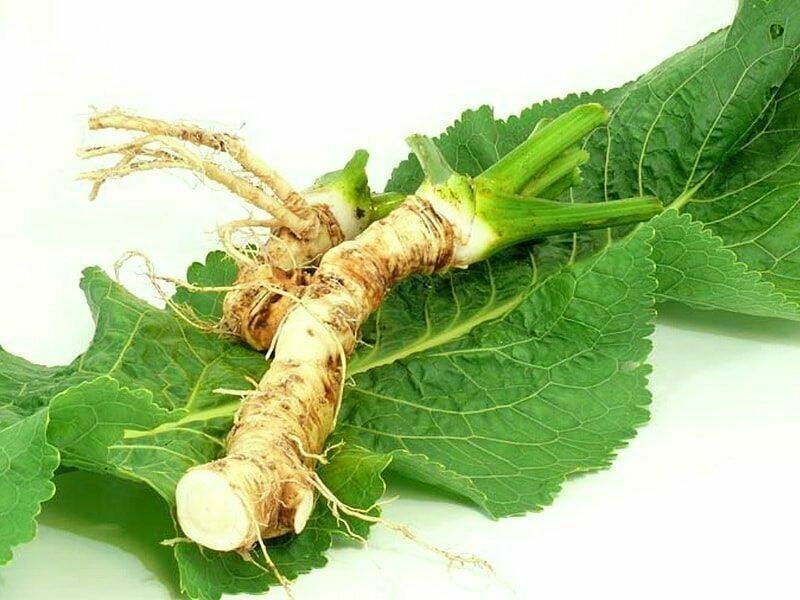 Фото взято из открытых источников Яндекс