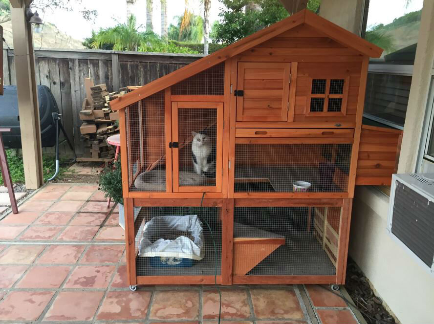 Курятник для кошки