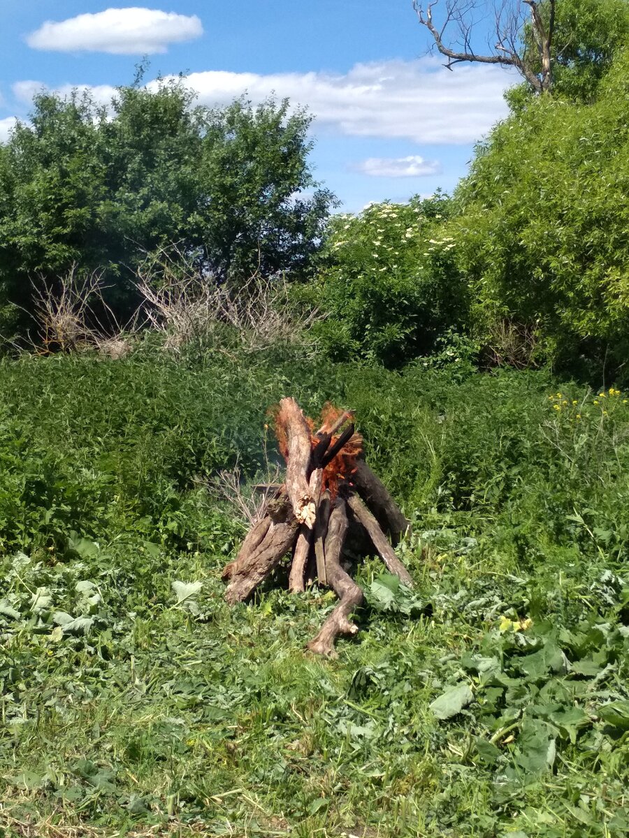 Всех ведьм на костер?