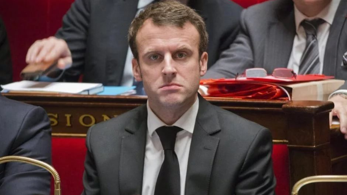 Яндекс.картинки