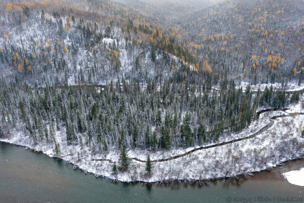 Тайга Красноярск зимой