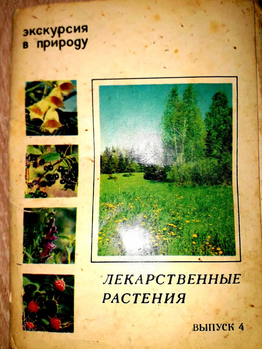 Грязноватый. Но что хотите -40 лет как-никак. Сколько переездов пережил.