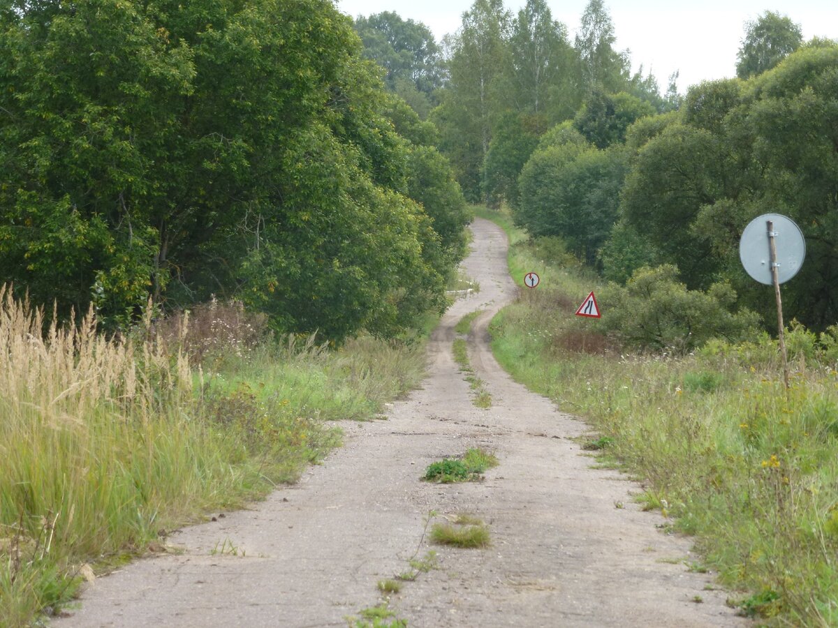 Куда нас приведёт такая "кривая дорожка" ...Но речь не об этом....