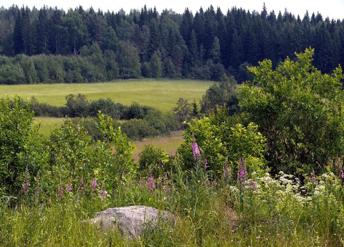 Пейзажи по пути