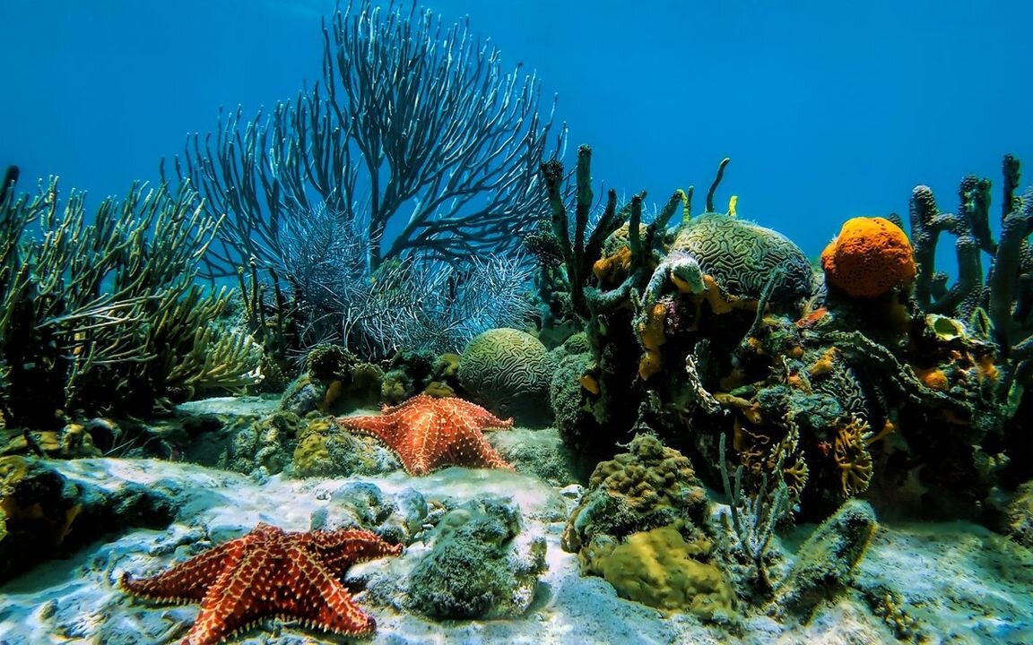 Фото из открытых источников.