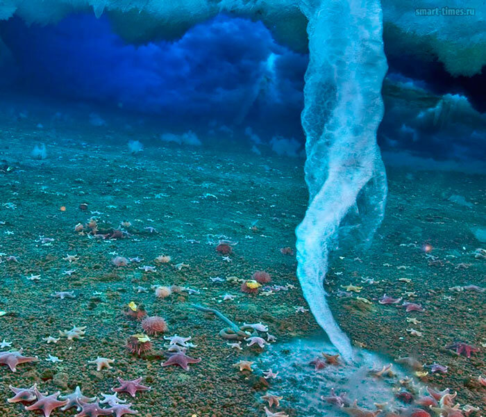 Источник: yandex.ru