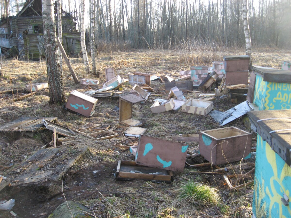 До лежаков не добрался, а пенополистирольные поломаны вперемежку с деревянными