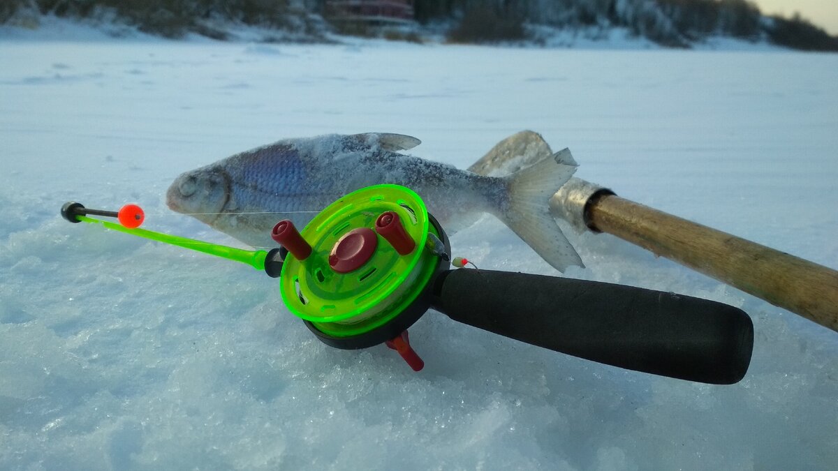 Небольшой трофейчик