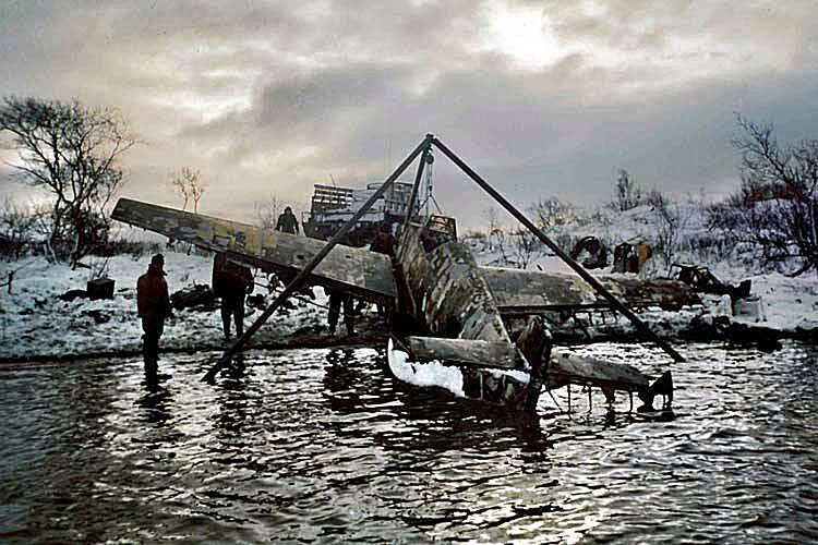 Фото из открытых источников