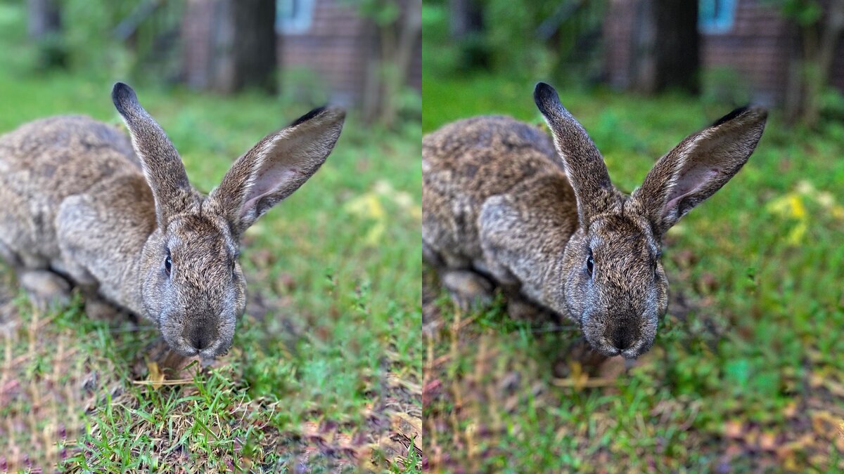 Фото, которое сделанное на 6 iPhone  