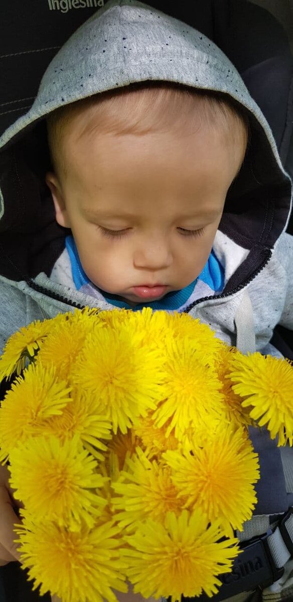 Букет одуванчиков для любимых черепашек