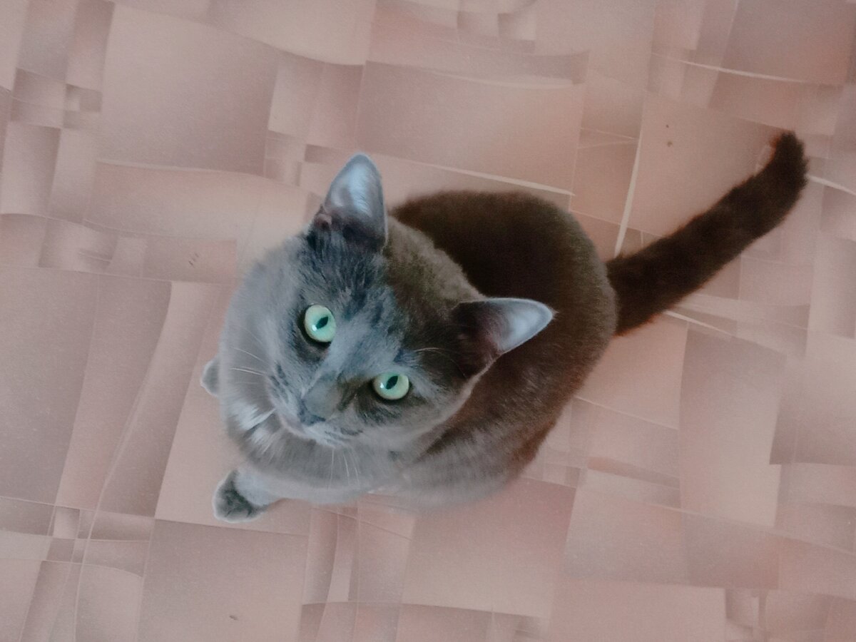 Маааленький кусочек дай