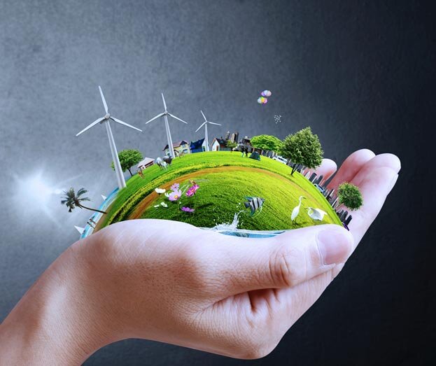 Фото из интернета 