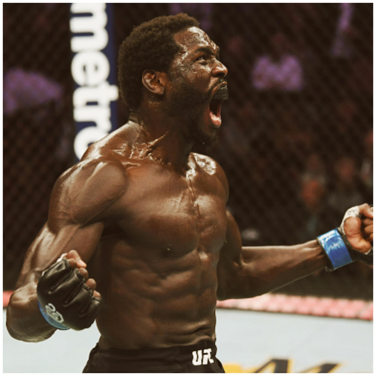 Джаред Каннонир - боец UFC. 