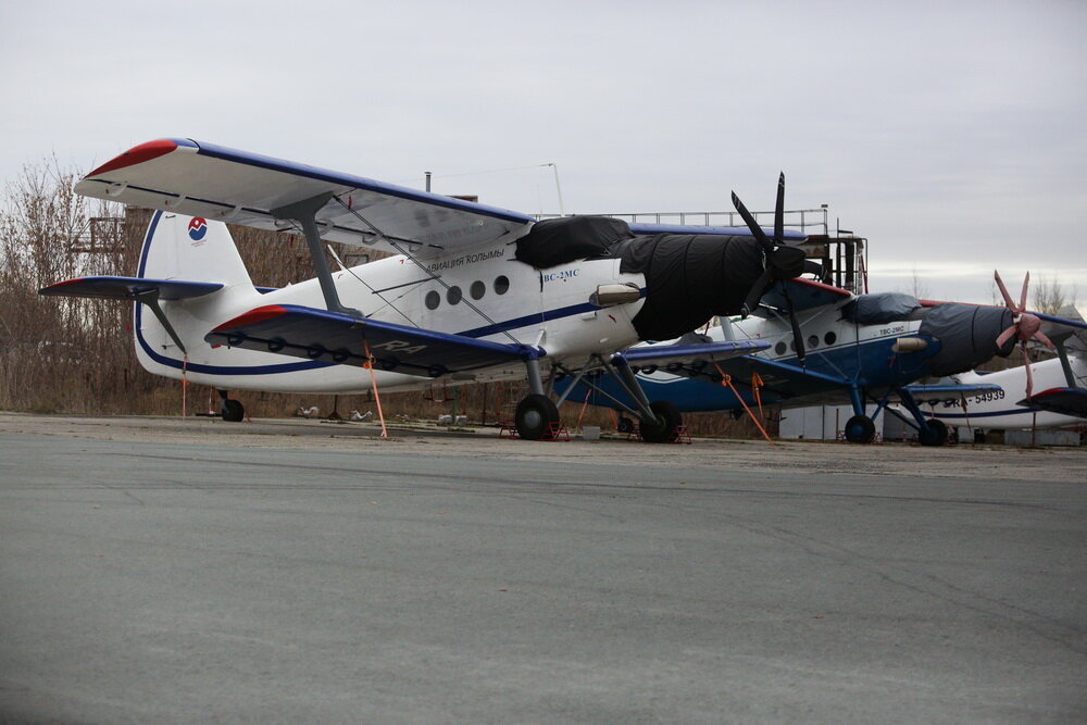 Фото: nsknews.info