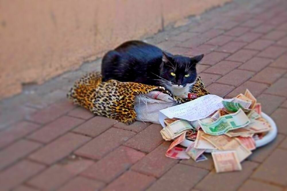 Даже ему работать приходится https://avatars.mds.yandex.net