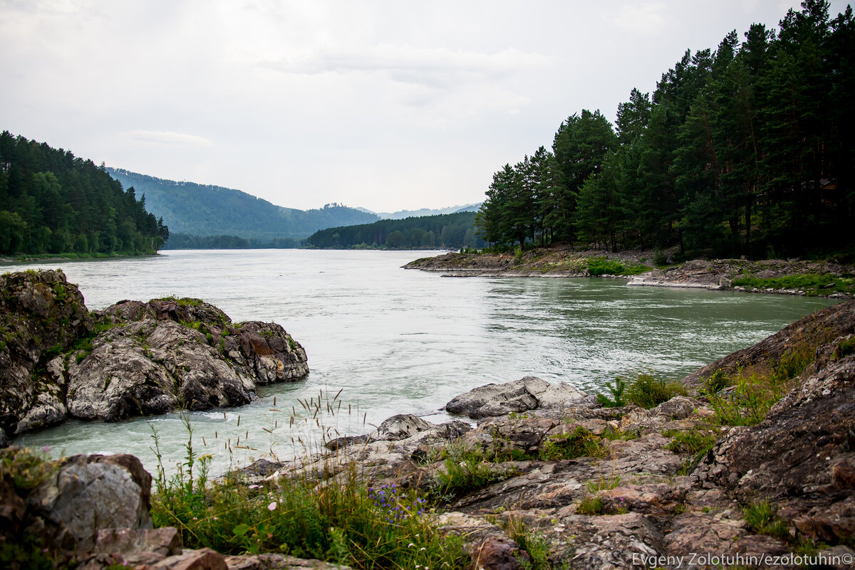 Село Манжерок Алтайский край