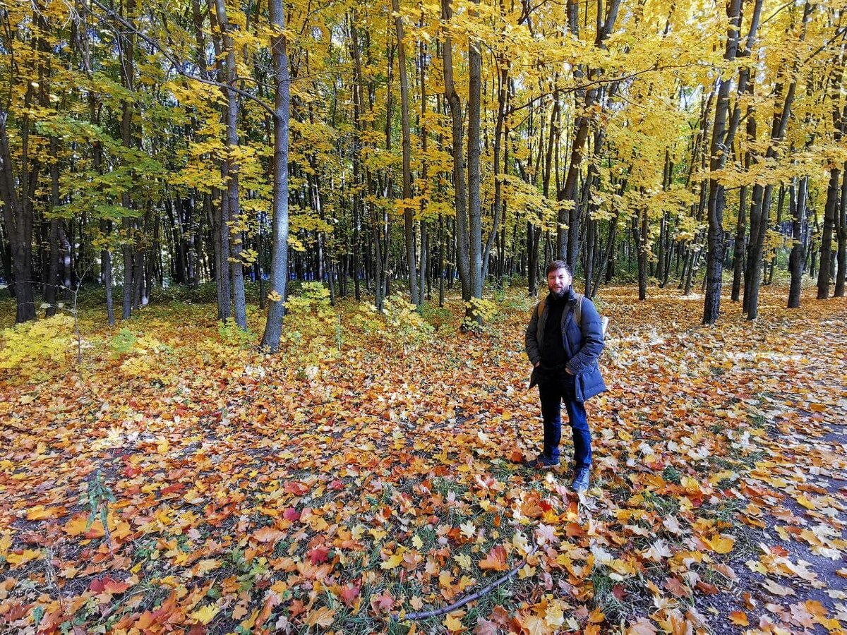 Раздумываю о ставках земельного налога )