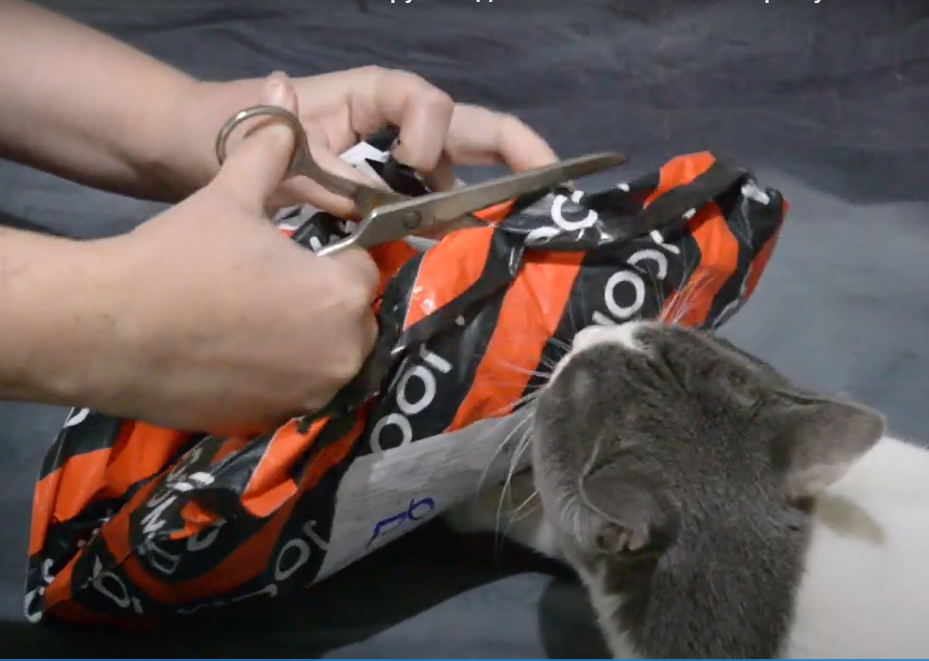 Босечка помогает открывать бандерольку с Joom