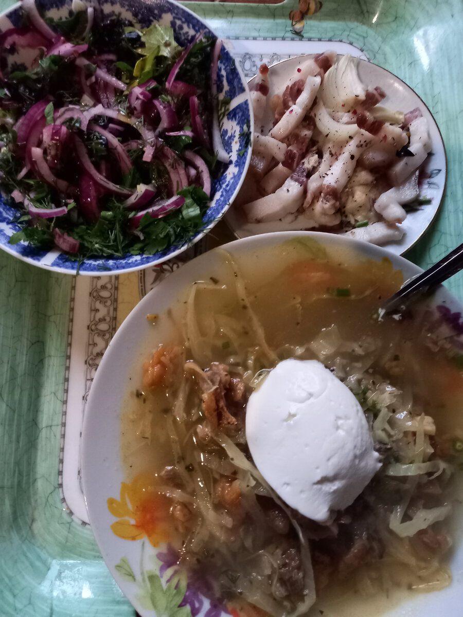 Щи с кислой капустой 