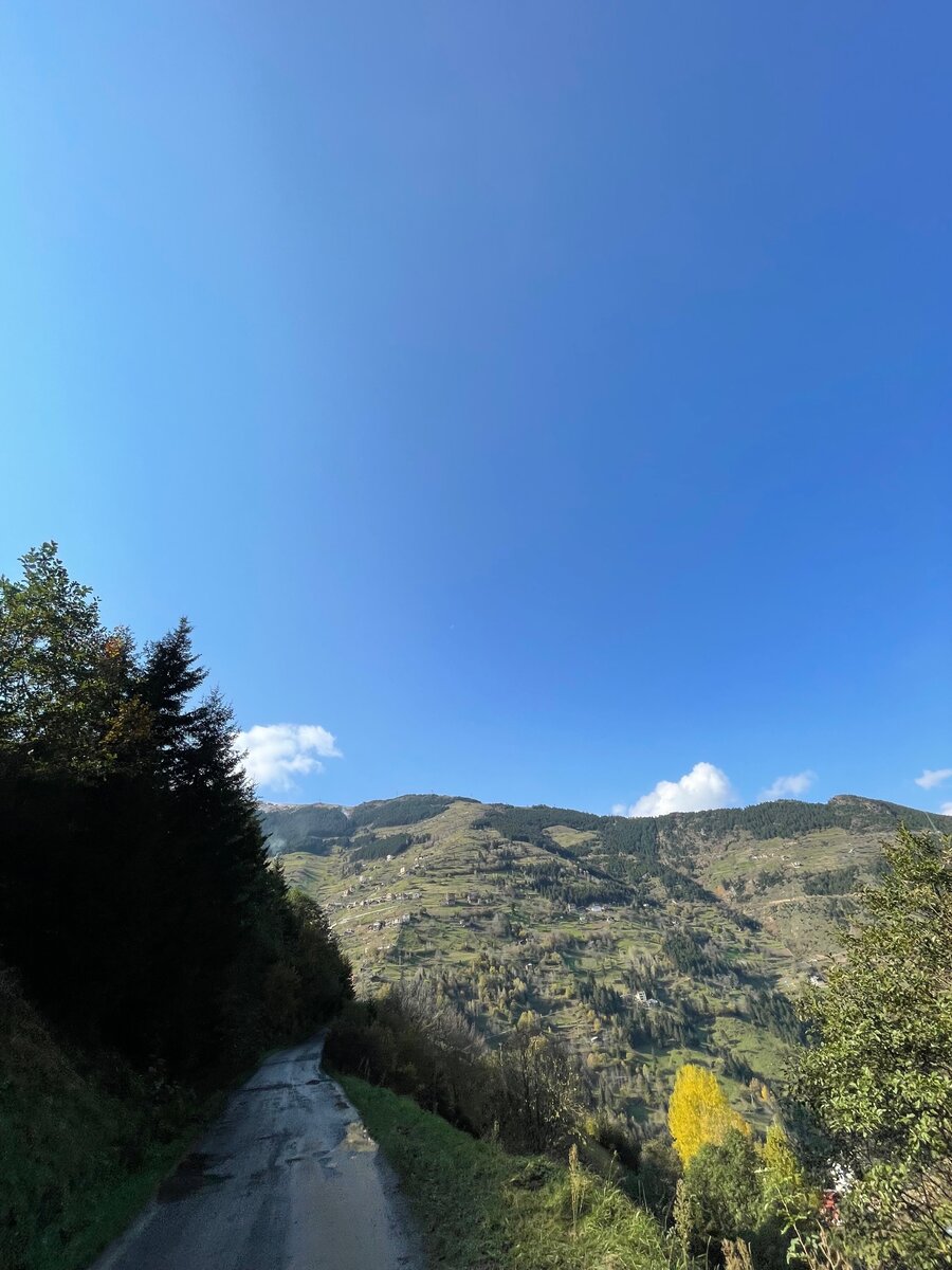 Затем дорога стала такой. Личный архив 30.10.2021г.