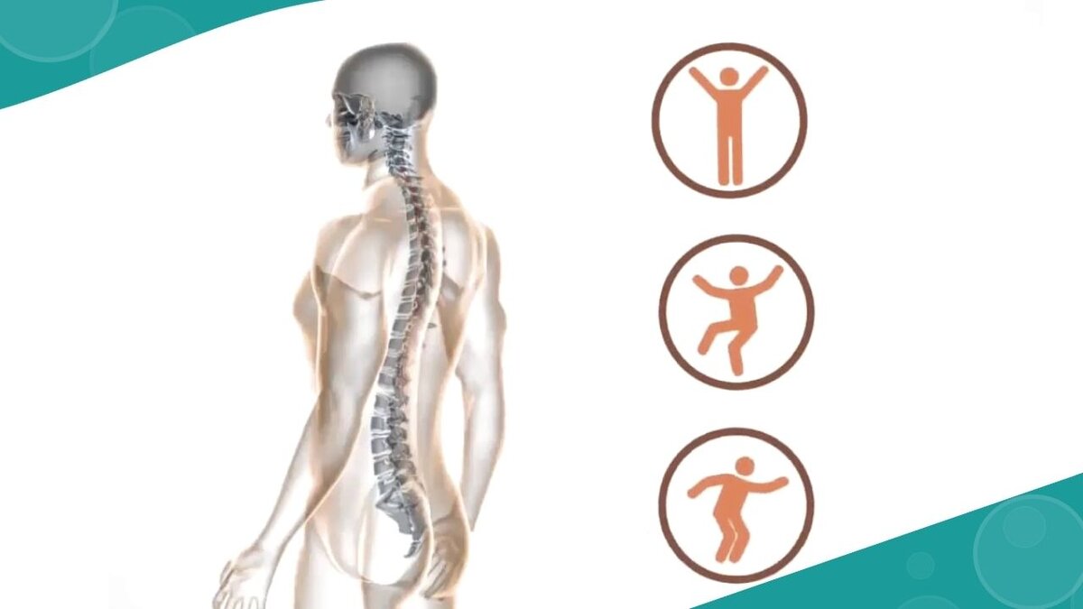 А вы знаете, что если имеются  какие-то нарушения в позвоночнике или есть болезни внутренних органов, то во время сна на поясницу приходится та же нагрузка