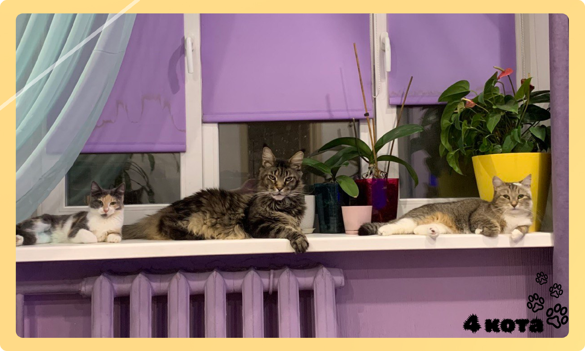 Это наша земля (с)