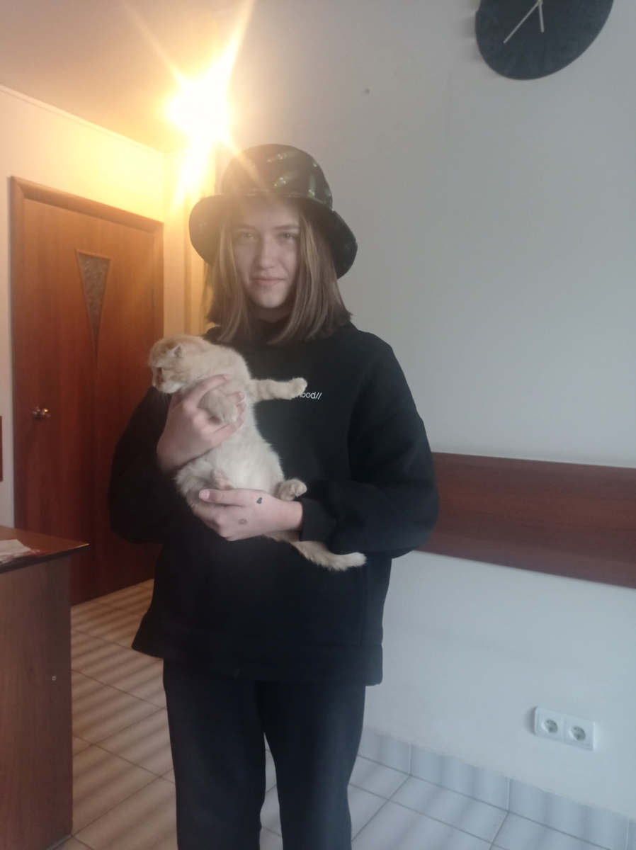 Котя на руках у новой хозяйки