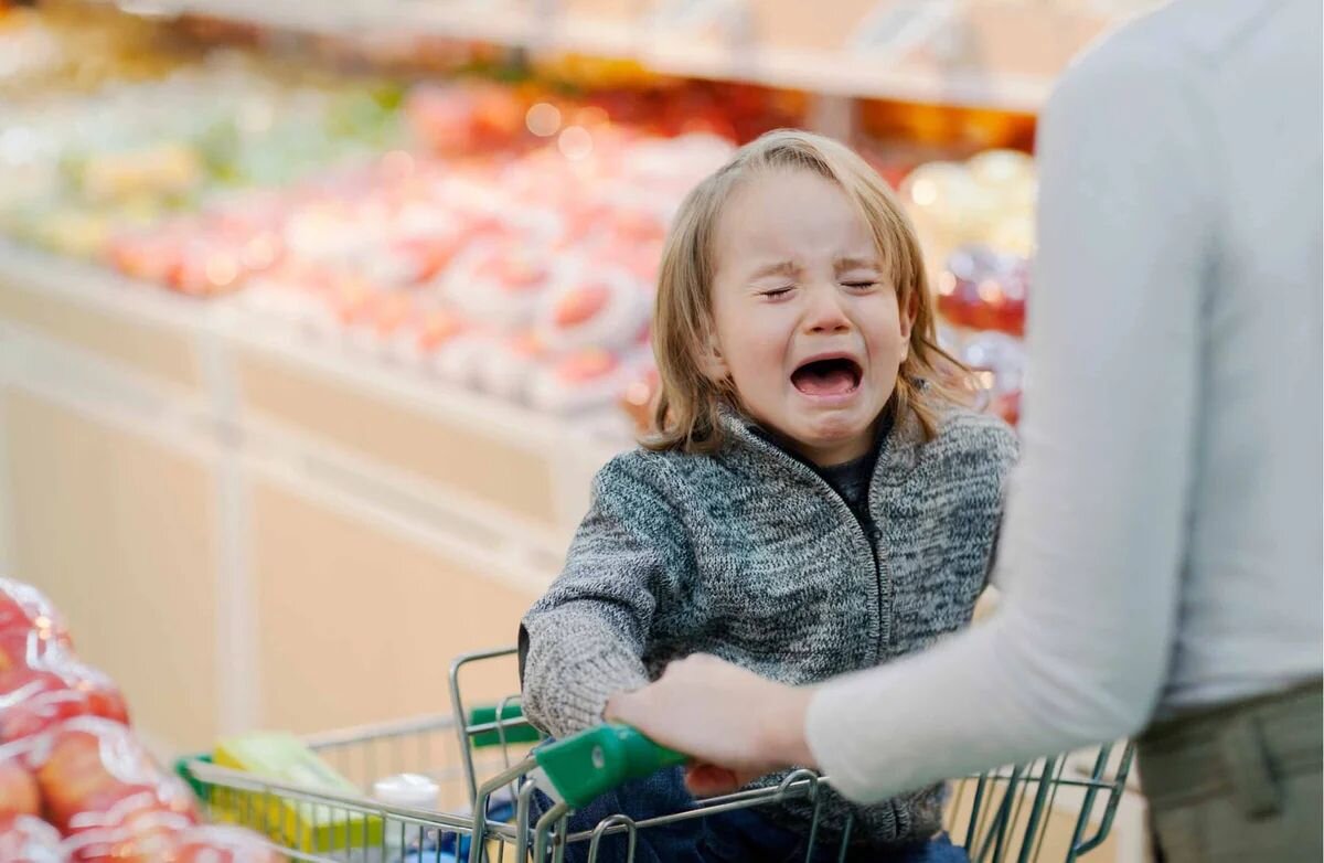 Источник фото Яндекс.картинки