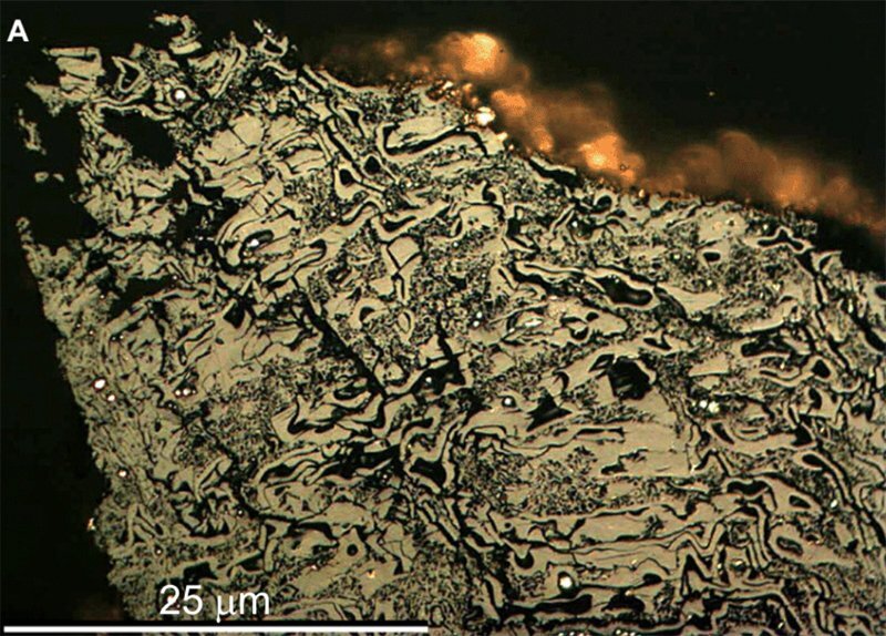    Образец окаменелого угля, использованный в работеGlasspool et al., Geology, 2022