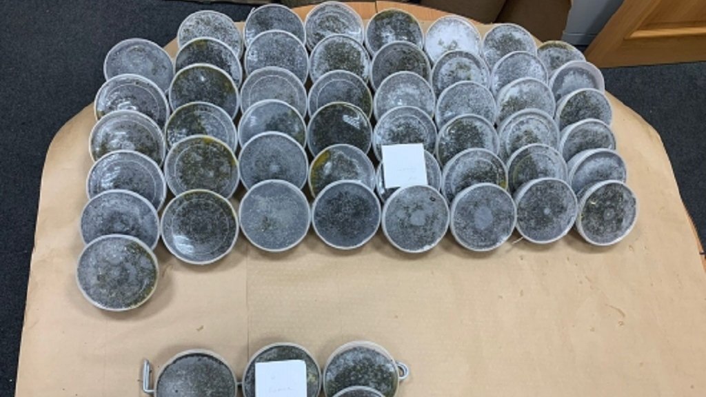    Фото: khabkray.sledcom.ru