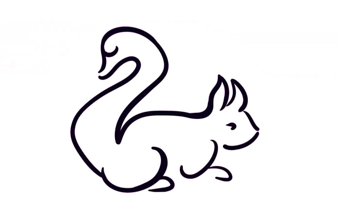 Реалистка или мечтательница: этот тест покажет, к какому типу людей ты относишься