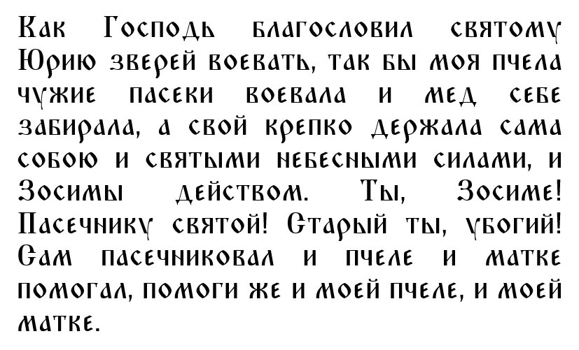 10 ДЕКАБРЯ – ДЕНЬ РОМАНА - Новости Сорокинского района